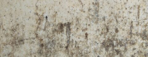 Damp Proofing Treatment Experts