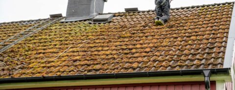Roof Moss Removal Fetcham