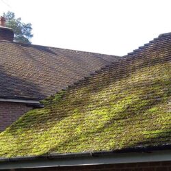 moss removal services near me in Guildford, Woking, Weybridge, Esher, Chessington, Leatherhead, Dorking, Epsom & all surrounding areas of Surrey