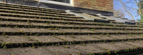 Roof Cleaning & Coating